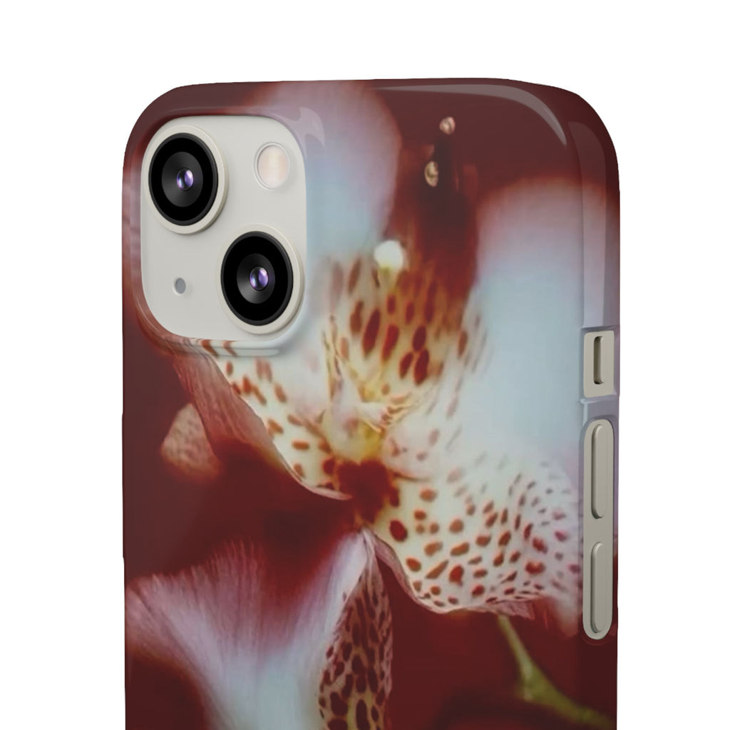 red's6